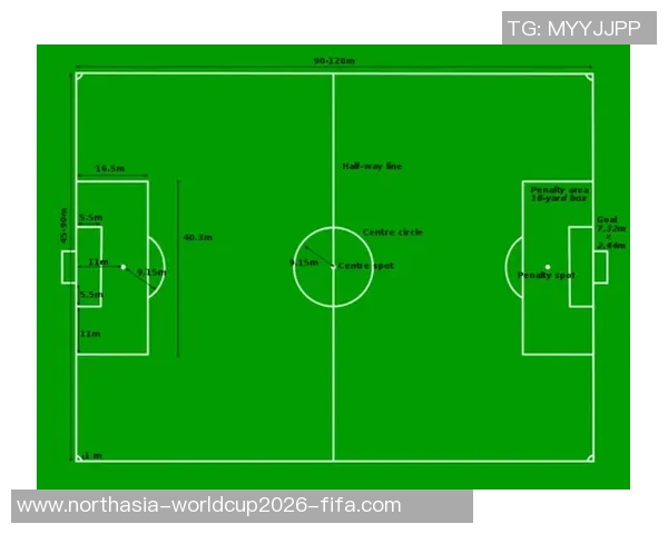 足球场积水现象分析及其对比赛和球员表现的影响探讨